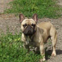 Оскар :: Freddy 97