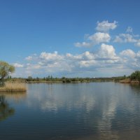 **** :: Виктор 