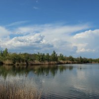 **** :: Виктор 