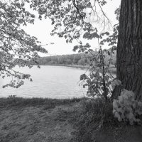 ***** :: юрий поляков