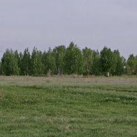 Май на дворе. :: сергей 