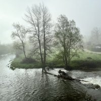 Мир Природы / Natural World" :: "The Natural World" Александер