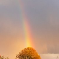 Радуга :: Александр 
