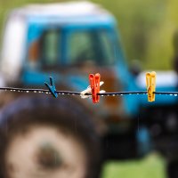 Дождь :: Александр 