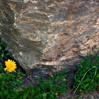 Весенние зарисовки 132 :: Алексей Кузнецов