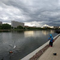 * * * :: Андрей Лукьянов * * * :: Андрей Лукьянов