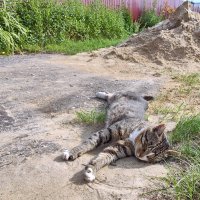 Песок не продаётся - самому нужен. :: Валерий Судачок