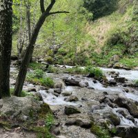 Река шумит :: Георгиевич 