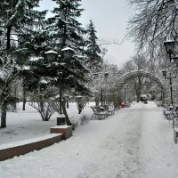 Мой город :: Роман Савоцкий