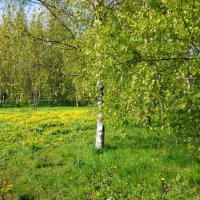 Май. :: Владимир Безбородов