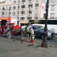 Нью-Йорк :: Светлана Хращевская