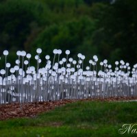 Будет свет. :: Наталья Вязигина
