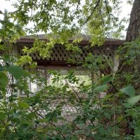 *** :: Валентина Береснева