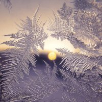 Морозное окно :: Natalie Bolotenkova