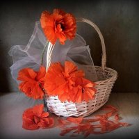 На цыпочки привстал цветок... и упорхнёт в нежнейших опереньях :: TAMARA КАДАНОВА На цыпочки привстал цветок... и упорхнёт в нежнейших опереньях :: TAMARA КАДАНОВА