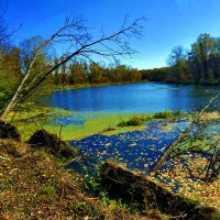 ПОДМЫТЫЙ   БЕРЕГ :: Анатолий Малобродский