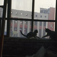 Из серии "Промзона" :: Владимир Носов