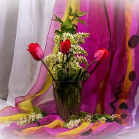 Тюльпаны и черемуха :: Людмила Павловна Крышковец