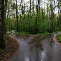 Холодный май 25-го :: Андрей Лукьянов