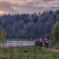 Вдоль реки :: Сергей Цветков Вдоль реки :: Сергей Цветков