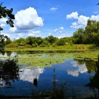 Чебоксары. Залив Ботанического пруда. :: Пётр Чернега