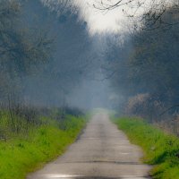 Дорожка :: Георгий А