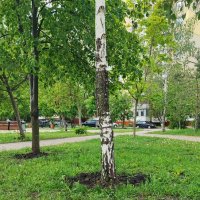 ... :: Сергей Тимоновский