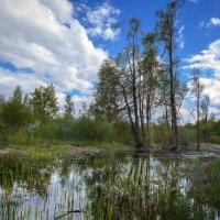 Талые воды... :: Влад Никишин