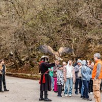 *** :: Дмитрий Лупандин