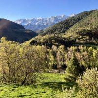 Мир Природы / Natural World - Мир, Природы, Natural, World :: "The Natural World" Александер Мир Природы / Natural World - Мир, Природы, Natural, World :: "The Natural World" Александер