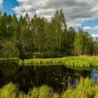 Однажды в Мае 5 :: Андрей Дворников
