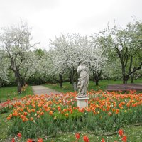 Коломенское :: Маера Урусова