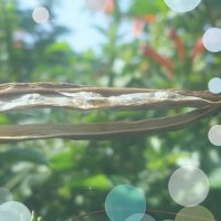 111 (134) :: СТРЕН 