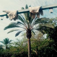 111 (135) :: СТРЕН 