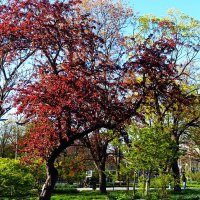 Таллин в ярких красках мая :: Aida10 