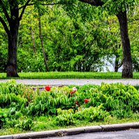 На аллеях  старого парка :: Анатолий Колосов