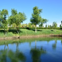 **** :: Виктор 