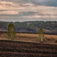 Весна :: Марина Юдинских