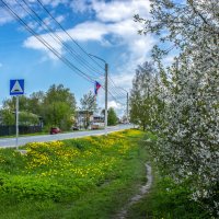 Бушует май. :: Михаил "Skipper"