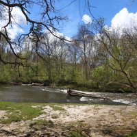 весна :: ИННА ПОРОХОВА