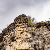 *** :: Дмитрий Лупандин