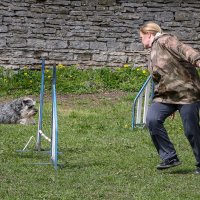 Аджилити :: Анатолий Шумилин