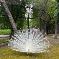 Жизнь :: Георгиевич 