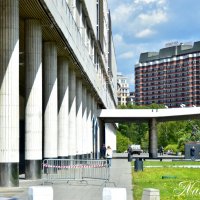 *** :: Наталья Вязигина