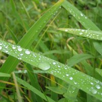 Мокрый день :: Anna Ivanova Мокрый день :: Anna Ivanova