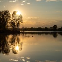 Гладь воды. :: Андрей Сосновский