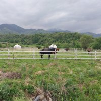 Talgar. :: Murat Bukaev 