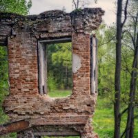 Останки усадьбы :: sorovey Sol