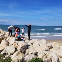 На берегу моря и на камнях :: Светлана Хращевская