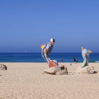 На берегу моря :: Светлана Хращевская